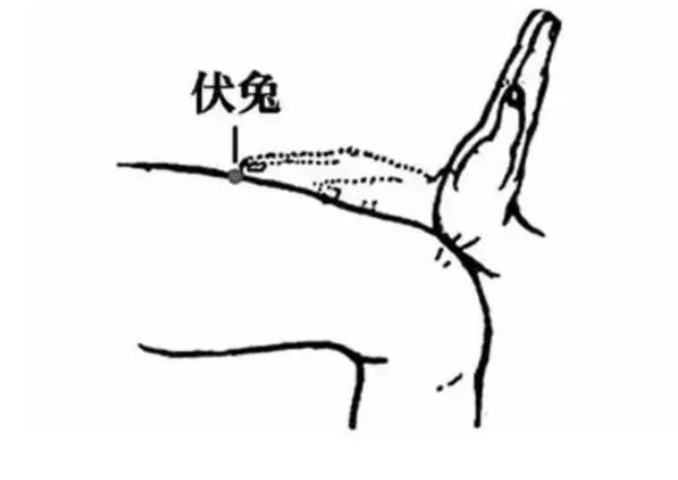 齫˹ٷվڹٷ-齫˹ٷվڱ׼