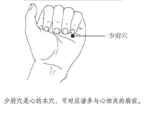 齫˹ٷվڹٷ-齫˹ٷվڱ׼